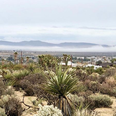 Cozy Desert Retreat With Amazing Views Only 4 Miles To Jtnp Joshua Tree Extérieur photo